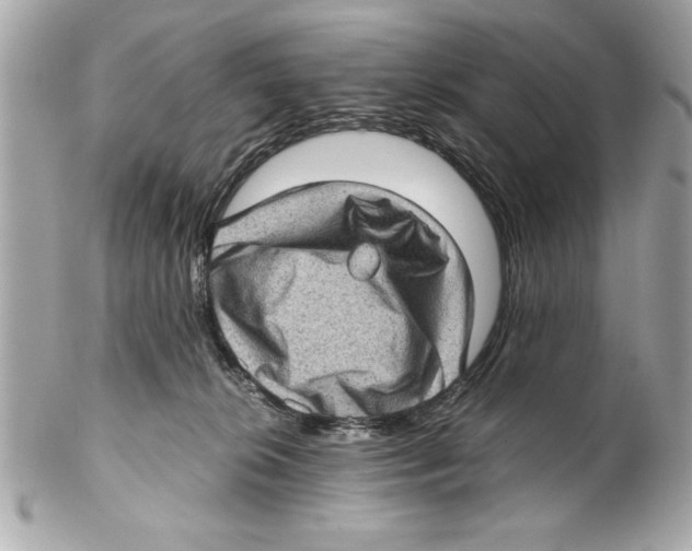 X0000102010276200808151259