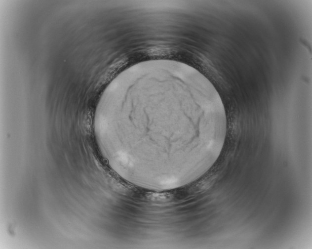 X0000102010277200808151259