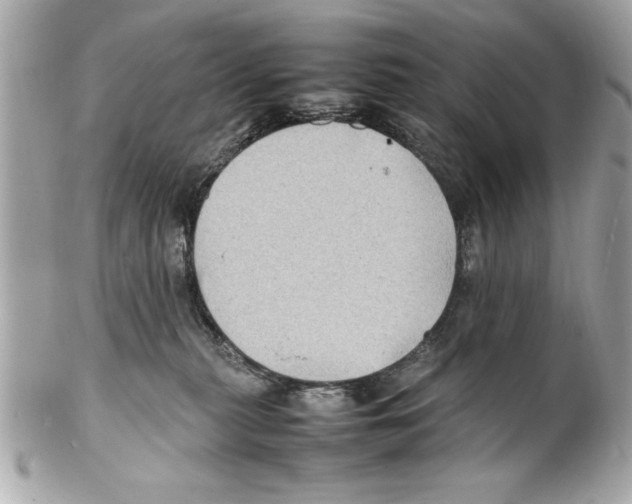 X0000102010279200808151259