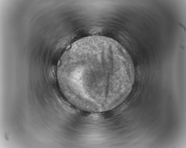 X0000102010280200808151259