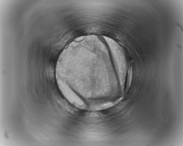 X0000102010282200808151259