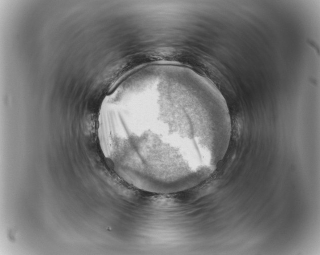 X0000102010284200808151259