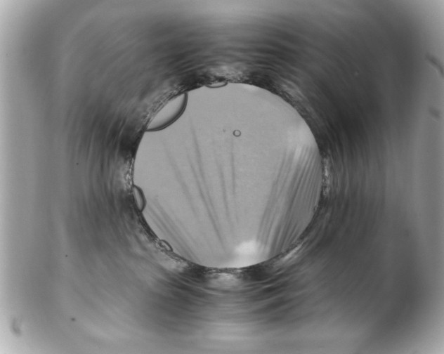 X0000102010285200808151259