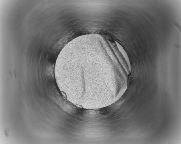 X0000102010286200808151259