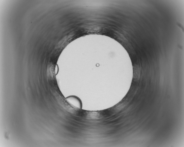 X0000102010287200808151259