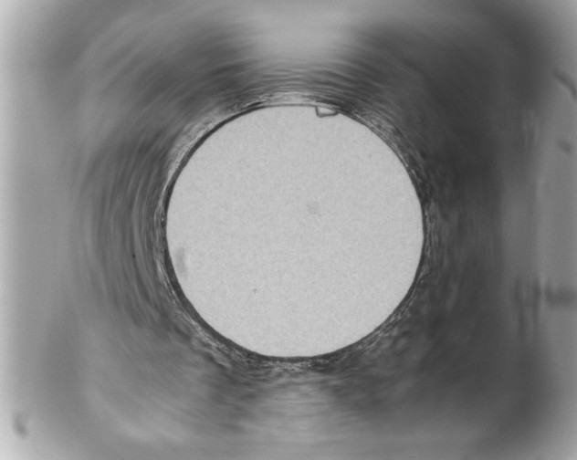 X0000102010289200808151258