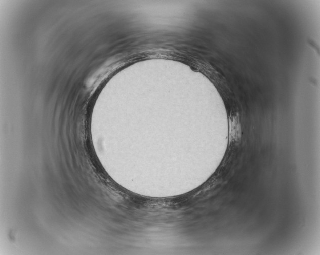 X0000102010291200808151258