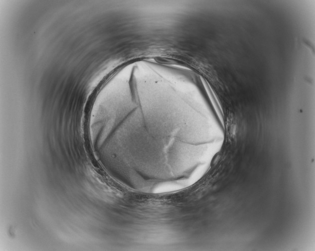 X0000102010292200808151258