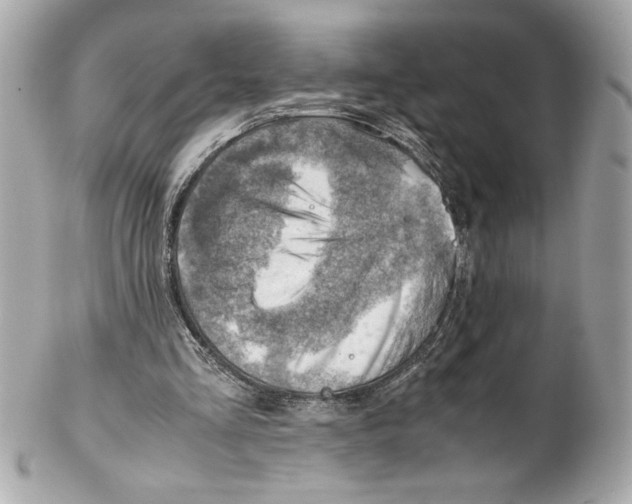 X0000102010293200808151258