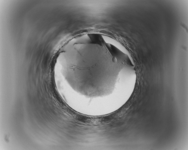 X0000102010295200808151258