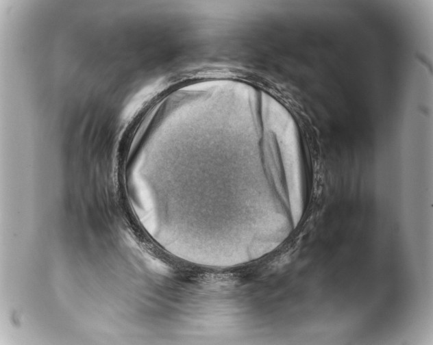 X0000102010296200808151258