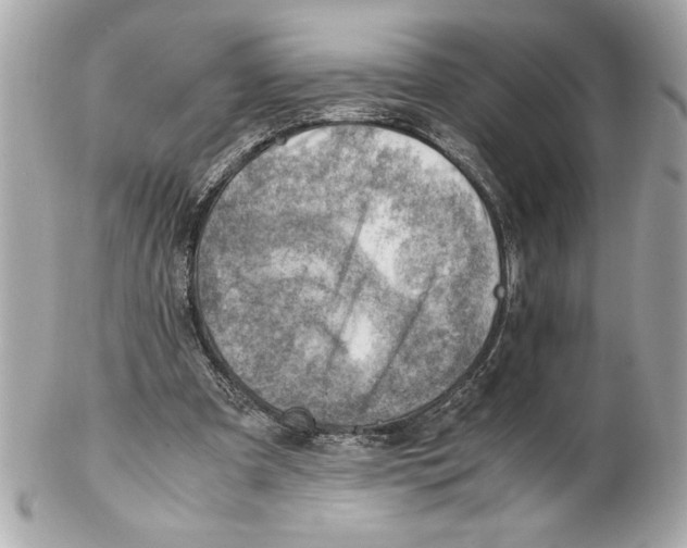 X0000102010297200808151258