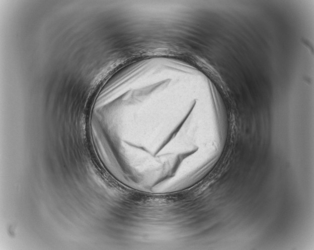 X0000102010298200808151258