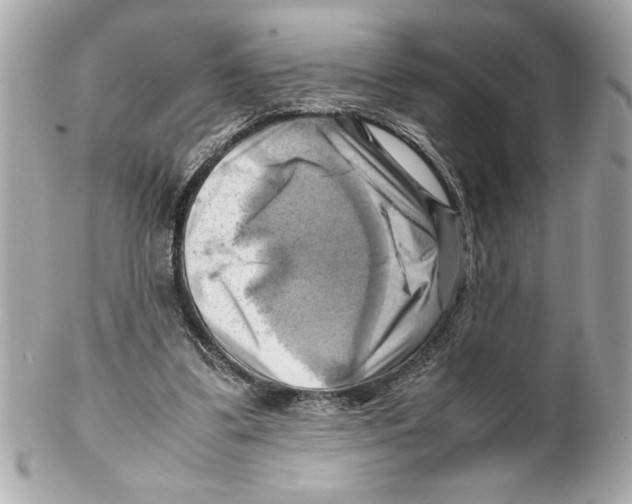 X0000102010299200808151258