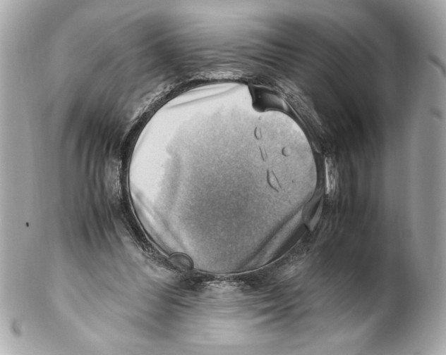 X0000102010300200808151258