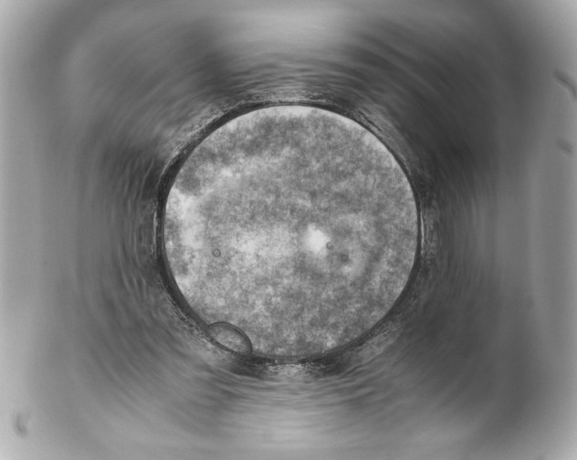 X0000102010301200808151258