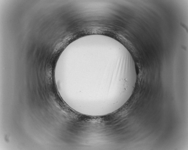 X0000102010306200808151258