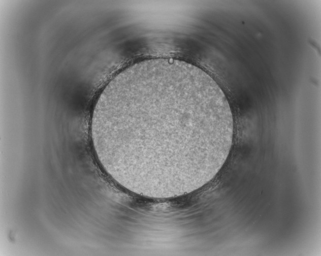 X0000102010309200808151258