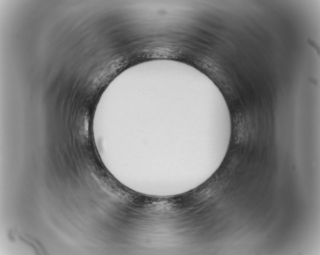 X0000102010310200808151258