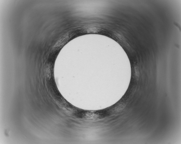 X0000102010311200808151258