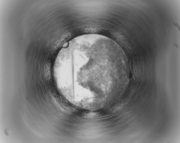 X0000102010312200808151258