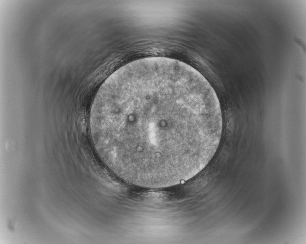 X0000102010313200808151258