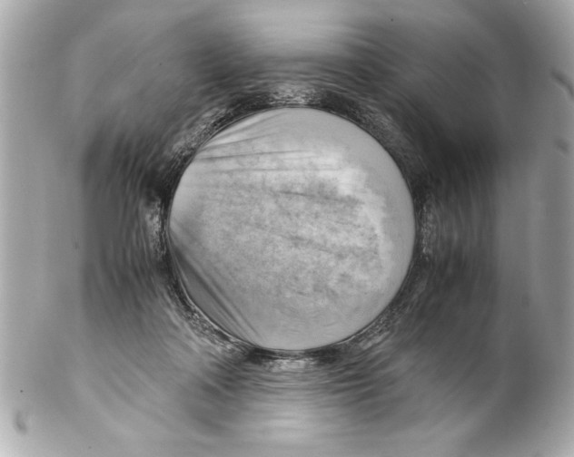 X0000102010314200808151258