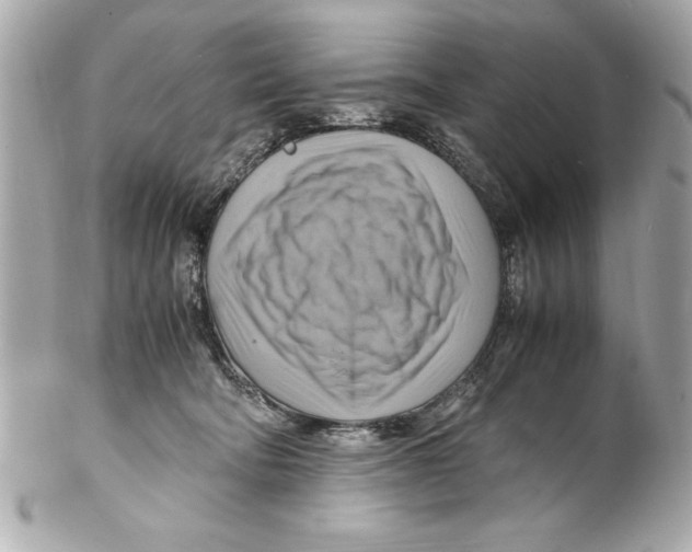 X0000102010322200808151258