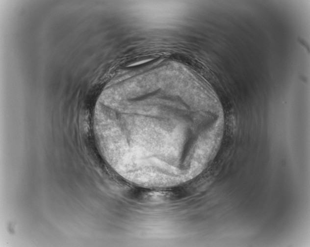 X0000102010323200808151258