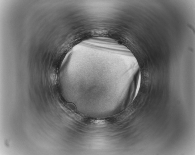 X0000102010324200808151258