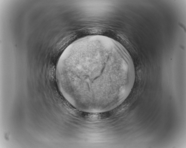 X0000102010325200808151258