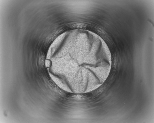 X0000102010326200808151258