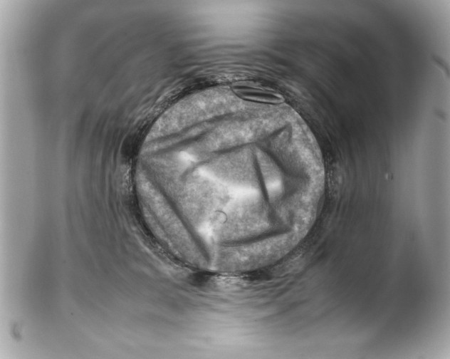 X0000102010327200808151258