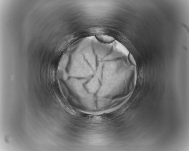 X0000102010330200808151258