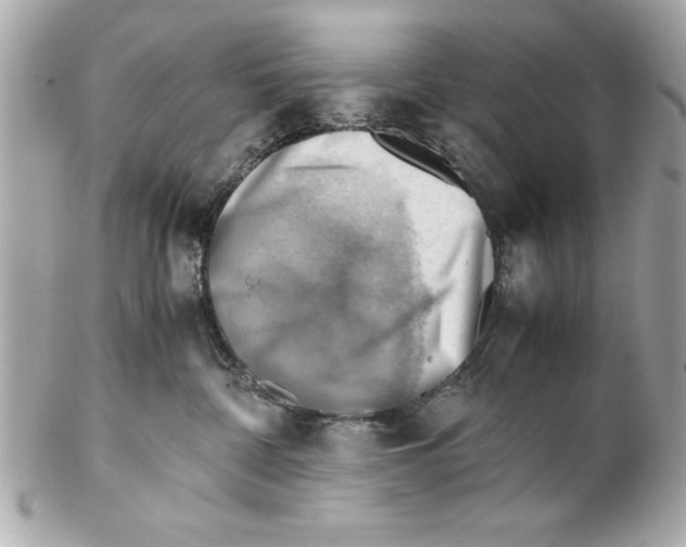 X0000102010332200808151258