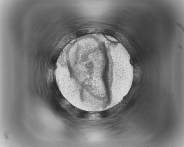 X0000102010333200808151258