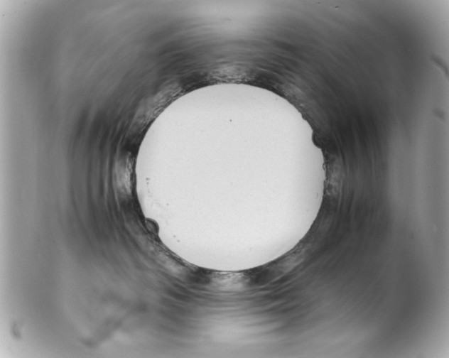 X0000102010334200808151258