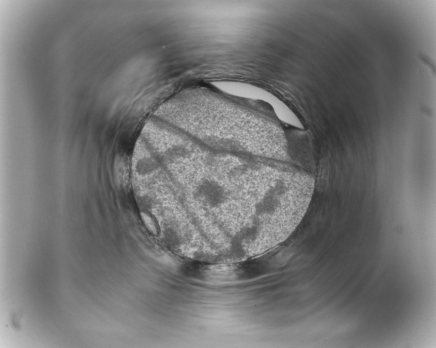 X0000102010335200808151258