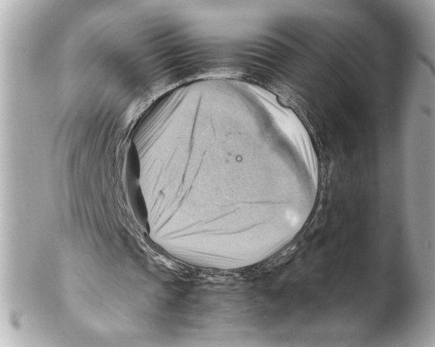 X0000102010337200808151257