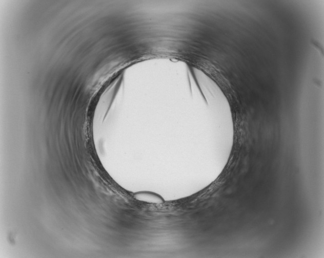 X0000102010338200808151257