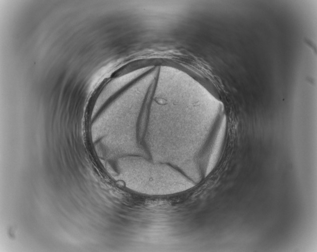 X0000102010340200808151257