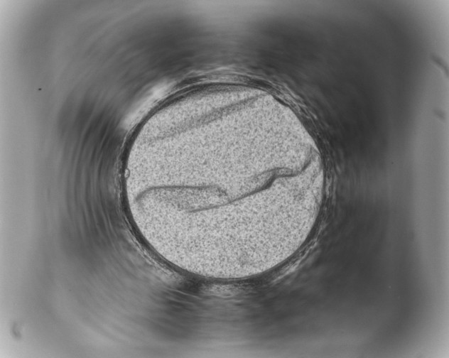 X0000102010341200808151257