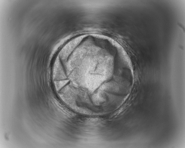 X0000102010342200808151257