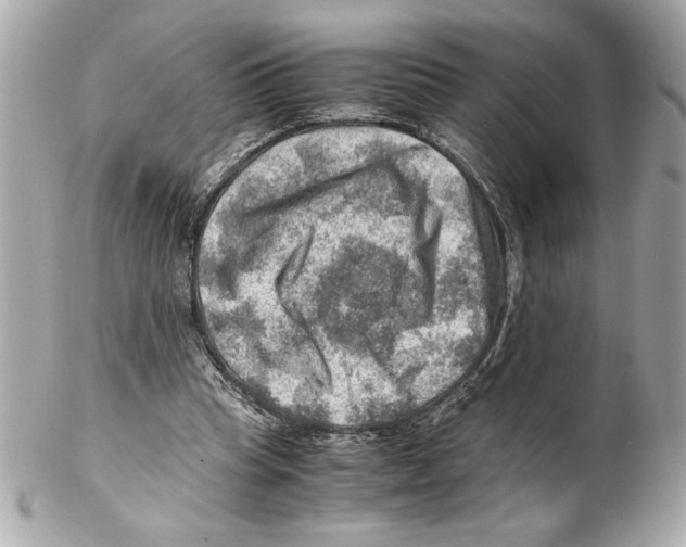 X0000102010345200808151257