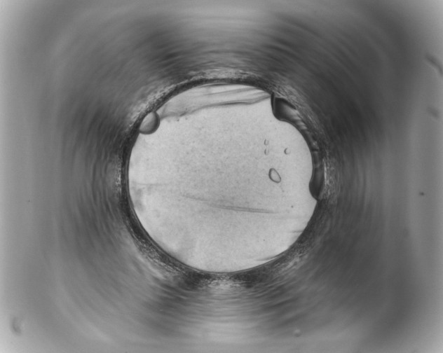 X0000102010348200808151257