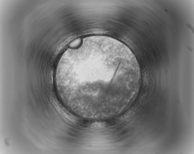 X0000102010350200808151257