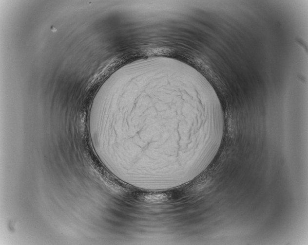 X0000102010357200808151257