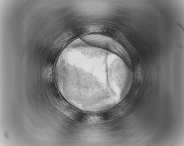 X0000102010360200808151257