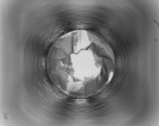 X0000102010363200808151257