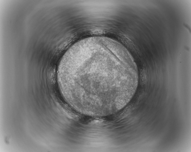 X0000102010364200808151257